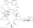 Fig. 545 - Macrolides and methods of their preparation and use