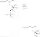 Fig. 766 - Macrolides and methods of their preparation and use