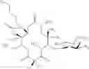 Fig. 883 - Macrolides and methods of their preparation and use