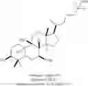 Fig. 28 - Substituted steroids for the treatment of cancer