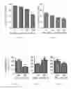 Fig. 04 - Compositions and methods for managing respiratory conditions