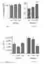 Fig. 06 - Compositions and methods for managing respiratory conditions