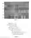 Fig. 16 - Type polypeptide targeting tumours