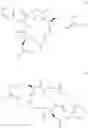 Fig. 02 - Cyclopeptide, pharmaceutical or cosmetic composition comprising the same and method for preparing the same