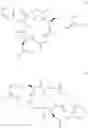 Fig. 03 - Cyclopeptide, pharmaceutical or cosmetic composition comprising the same and method for preparing the same