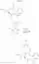 Fig. 16 - Cyclopeptide, pharmaceutical or cosmetic composition comprising the same and method for preparing the same