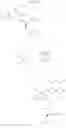Fig. 17 - Cyclopeptide, pharmaceutical or cosmetic composition comprising the same and method for preparing the same