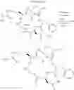 Fig. 20 - Cyclopeptide, pharmaceutical or cosmetic composition comprising the same and method for preparing the same