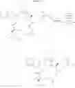 Fig. 35 - Cyclopeptide, pharmaceutical or cosmetic composition comprising the same and method for preparing the same