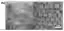 Fig. 01 - Self-assembled structures composed of monomers of peptide nucleic acid and tunable photonic crystals made therefrom