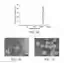 Fig. 02 - Self-assembled structures composed of monomers of peptide nucleic acid and tunable photonic crystals made therefrom