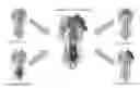 Fig. 01 - Engineered influenza antigenic polypeptides and immunogenic compositions thereof