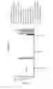 Fig. 07 - Engineered influenza antigenic polypeptides and immunogenic compositions thereof