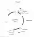 Fig. 27 - Modified FGF-21 polypeptides comprising non-naturally encoding amino acids and their uses