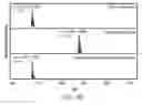 Fig. 20 - Modified glucagon molecules