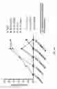 Fig. 09 - B cell lineage based immunogen design with humanized animals