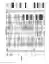 Fig. 19 - Neutralizing antibodies to gp120 and their use