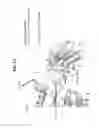 Fig. 29 - Neutralizing antibodies to gp120 and their use