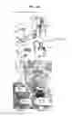 Fig. 30 - Neutralizing antibodies to gp120 and their use