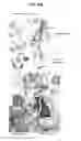 Fig. 31 - Neutralizing antibodies to gp120 and their use