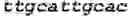 Fig. 04 - Activatable antibodies having non-binding steric moieties and methods of using the same