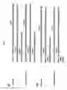 Fig. 02 - Nucleic acids encoding chimeric and humanized anti-histone antibodies