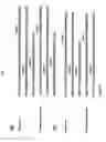 Fig. 03 - Nucleic acids encoding chimeric and humanized anti-histone antibodies