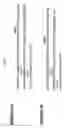 Fig. 05 - Nucleic acids encoding chimeric and humanized anti-histone antibodies