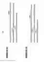 Fig. 06 - Nucleic acids encoding chimeric and humanized anti-histone antibodies