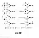 Fig. 04 - GLYCOENGINEERED BINDING PROTEIN COMPOSITIONS
