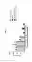 Fig. 71 - Antibodies against TIM3 and uses thereof