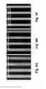 Fig. 09 - Method of manufacturing anisotropic conductive film using vertical ultrasonic waves