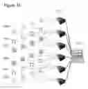 Fig. 44 - Interconnections of multiple perfused engineered tissue constructs and microbioreactors, multi-microformulators and applications of the same