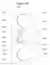 Fig. 49 - Interconnections of multiple perfused engineered tissue constructs and microbioreactors, multi-microformulators and applications of the same