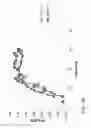 Fig. 32 - Acoustic perfusion devices