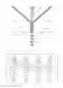 Fig. 07 - Single-particle analysis method, and system for performing said analysis