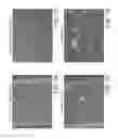 Fig. 08 - Microfluidic model of the blood brain barrier