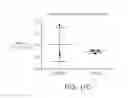 Fig. 20 - Microfluidic model of the blood brain barrier