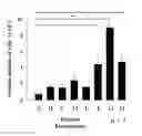 Fig. 01 - COMPOSITION FOR RAPIDLY SEPARATING ADIPOSE TISSUE-DERIVED STROMAL CELLS