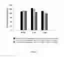 Fig. 07 - COMPOSITION FOR RAPIDLY SEPARATING ADIPOSE TISSUE-DERIVED STROMAL CELLS