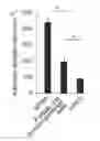 Fig. 01 - ADHESIVE SIGNATURE-BASED METHODS FOR THE ISOLATION OF CANCER-ASSOCIATED CELLS AND CELLS DERIVED THEREFROM