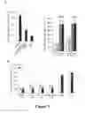 Fig. 02 - ADHESIVE SIGNATURE-BASED METHODS FOR THE ISOLATION OF CANCER-ASSOCIATED CELLS AND CELLS DERIVED THEREFROM