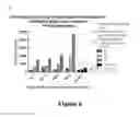 Fig. 10 - ADHESIVE SIGNATURE-BASED METHODS FOR THE ISOLATION OF CANCER-ASSOCIATED CELLS AND CELLS DERIVED THEREFROM