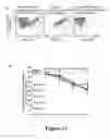Fig. 19 - ADHESIVE SIGNATURE-BASED METHODS FOR THE ISOLATION OF CANCER-ASSOCIATED CELLS AND CELLS DERIVED THEREFROM