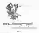 Fig. 02 - DNA polymerase possessing continuous catalytic capacity and salt tolerance