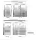 Fig. 05 - Modified AAV constructs and uses thereof