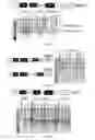 Fig. 06 - Modified AAV constructs and uses thereof