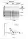 Fig. 12 - Modified AAV constructs and uses thereof