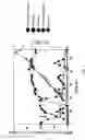Fig. 06 - Corynebacterium glutamicum for use in producing 2′-fucosyllactose