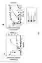 Fig. 08 - Corynebacterium glutamicum for use in producing 2′-fucosyllactose